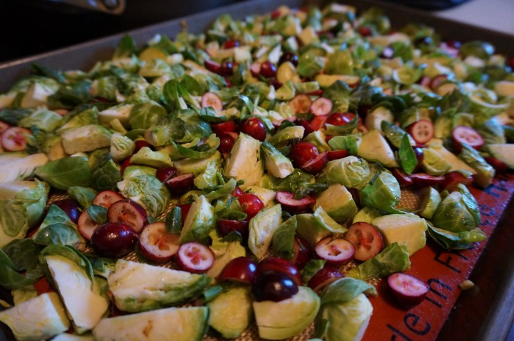 Toss the sprouts and sliced cranberries and drizzle with some EVOO!