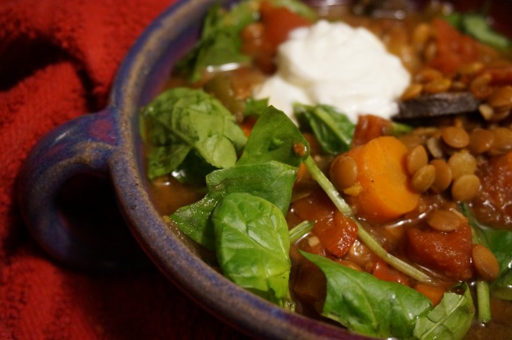 Spicy Lentil Portobella Stew
